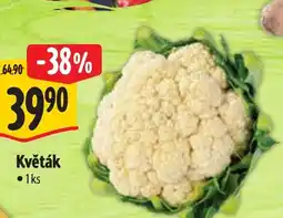 Albert Květák nabídka