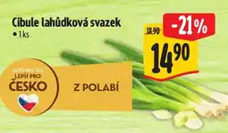 Albert Cibule lahůdková svazek nabídka
