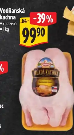 Albert Vodňanská kachna nabídka
