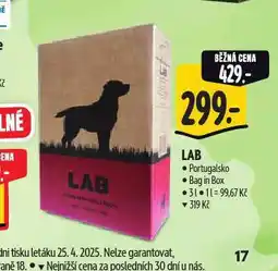 Albert Lab nabídka