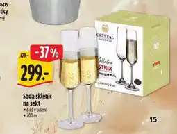 Albert Sada sklenic na sekt nabídka