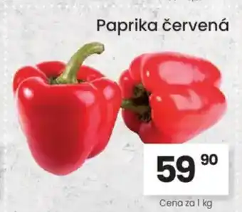 Kubík potraviny Paprika červená nabídka