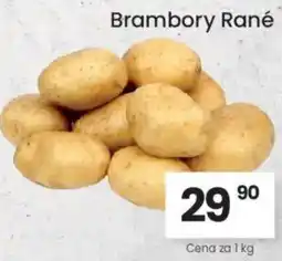 Kubík potraviny Brambory Rané nabídka