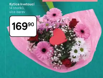 Tesco Kytice kvetoucí nabídka