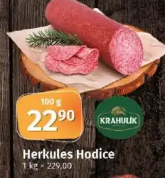COOP TIP Herkules Hodice nabídka