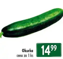 Qanto Okurka nabídka
