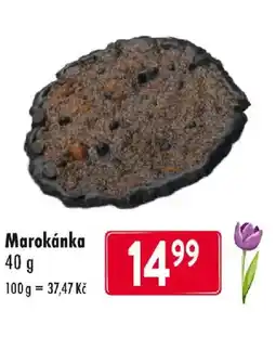 Qanto Marokánka nabídka