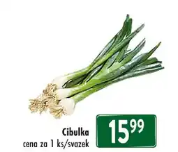 Qanto Cibulka nabídka