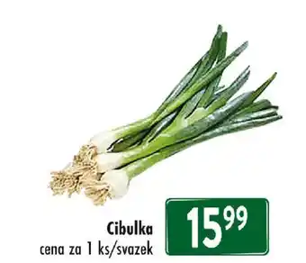 Qanto Cibulka nabídka