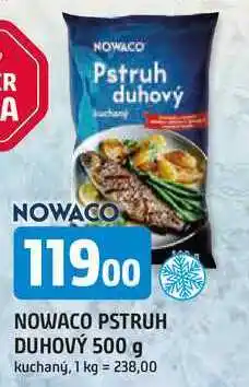 Trefa NOWACO PSTRUH DUHOVÝ 500 g nabídka