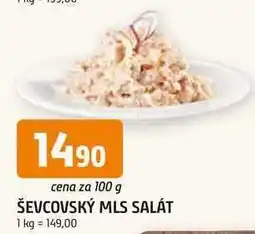 Trefa ŠEVCOVSKÝ MLS SALÁT 100 g nabídka