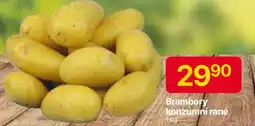 Hruška Brambory konzumní rané nabídka