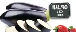 Jip Lilek nabídka