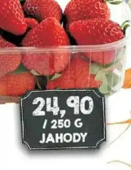 Jip Jahody nabídka