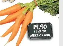 Jip Mrkev s nati nabídka