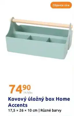 Action Kovový úložný box Home Accents nabídka