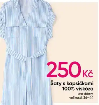 Pepco Šaty s kapsičkami 100% viskóza nabídka