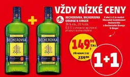 Penny Market BECHEROVKA, BECHEROVKA ORANGE & GINGER nabídka