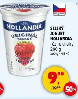 Penny Market SELSKÝ JOGURT HOLLANDIA nabídka
