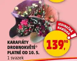 Penny Market Karafiáty drobnokvěté nabídka