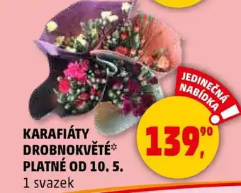 Penny Market Karafiáty drobnokvěté nabídka