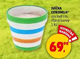 Penny Market SVÍČKA CITRONELA nabídka