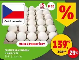 Penny Market Čerstvá vejce nosnic v halách M nabídka