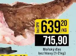 Jip Mořský d'as bez hlavy nabídka