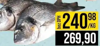 Jip Pražma královská celá kuchaná nabídka