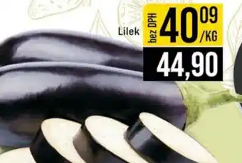 Jip Lilek nabídka