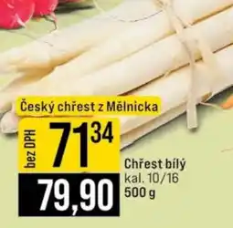 Jip Chřest bílý nabídka