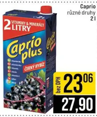 Jip Caprio nabídka