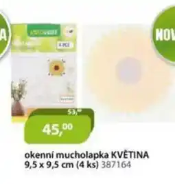 M.A.T. Okenní mucholapka květina nabídka