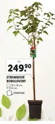 Lidl STROMKOVÉ BOBULOVINY nabídka