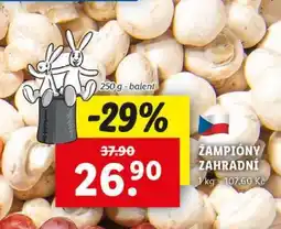 Lidl ŽAMPIONY ZAHRADNÍ nabídka