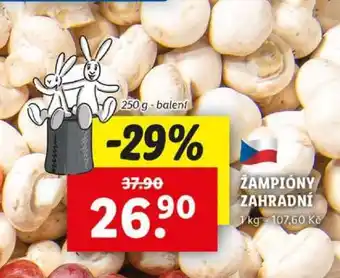 Lidl ŽAMPIONY ZAHRADNÍ nabídka