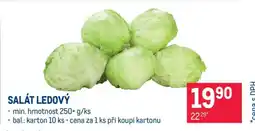 Makro Salát ledový nabídka