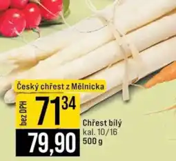 Jip Český chřest z Mělnicka nabídka