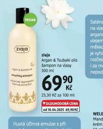 dm drogerie Ziaja šampon nabídka