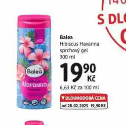 dm drogerie Balea sprchový gel nabídka