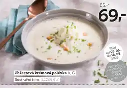 XXXLutz Chřestová krémová polévka nabídka