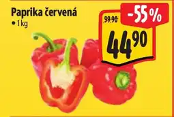 Albert Paprika červená nabídka