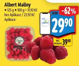 Albert Albert Maliny nabídka