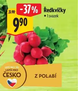 Albert Ředkvičky nabídka