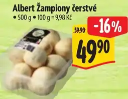 Albert Albert žampiony čerstvé nabídka