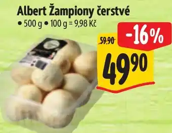 Albert Albert žampiony čerstvé nabídka