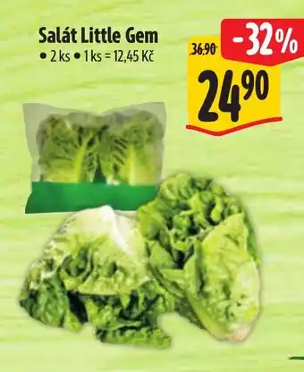 Albert Salát Little Gem nabídka