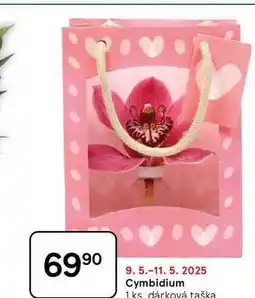 Tesco Cymbidium, 1 ks. dárková taška nabídka
