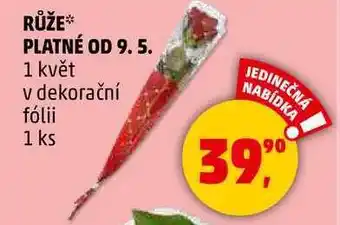 Penny Market RŮŽE, 1 květ v dekorační fólii nabídka