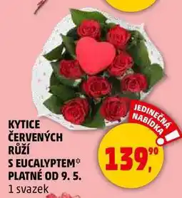 Penny Market KYTICE ČERVENÝCH RŮŽÍ S EUCALYPTEM, 1 svazek nabídka